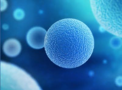 Biyoteknoloji Nedir?